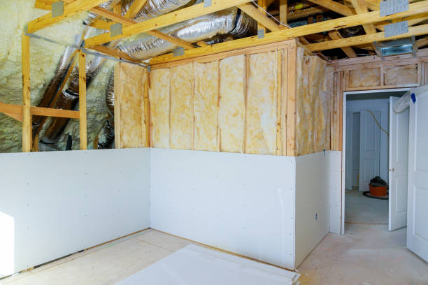 Best Insulation Installation Services in Canton, MO