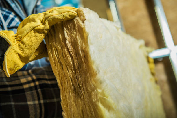 Best Residential Insulation in Canton, MO