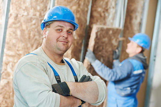 Best Commercial Insulation in Canton, MO