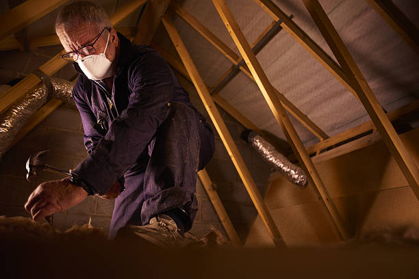 Best Insulation Materials and Products in Canton, MO